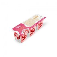 VASITO NATA FRESA 3X125ML DULCESOL