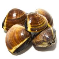 ALMEJA MARRON 6x1KG